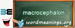 WordMeaning blackboard for macrocephalon